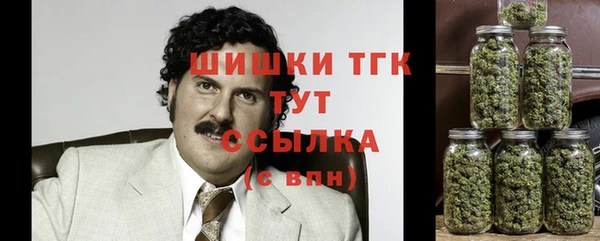 спиды Михайлов
