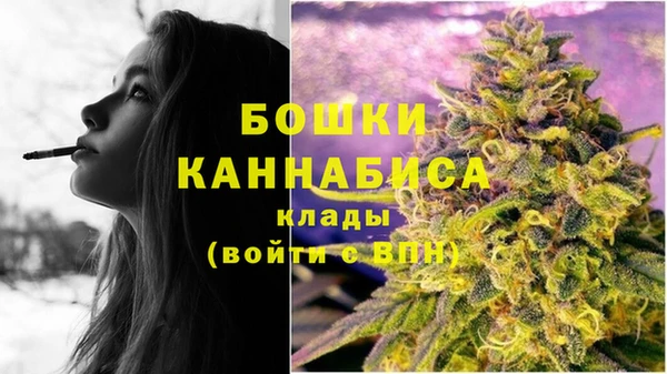 тгк Михайловск