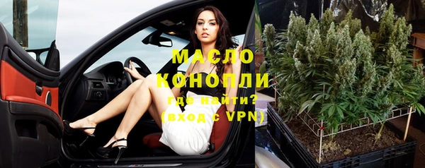 индика Медногорск