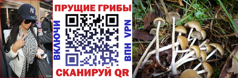 Псилоцибиновые грибы мухоморы Киселёвск