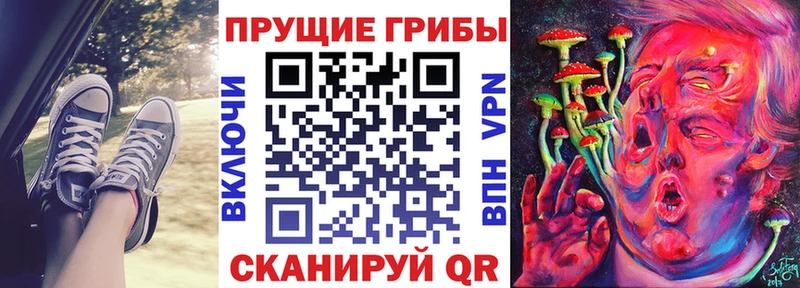 Псилоцибиновые грибы MAGIC MUSHROOMS  купить наркоту  кракен рабочий сайт  Киселёвск 